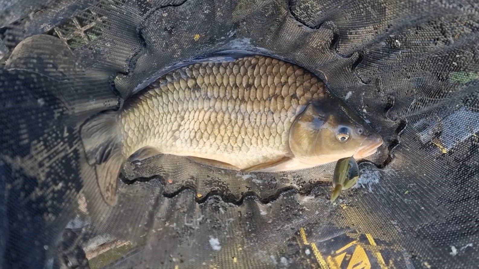 🎣 Two Lumps on the Short Line! – Lindholme, Loco Lake